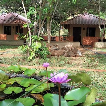 Hotel Niyagala Lodge Sigiriya Luaran gambar