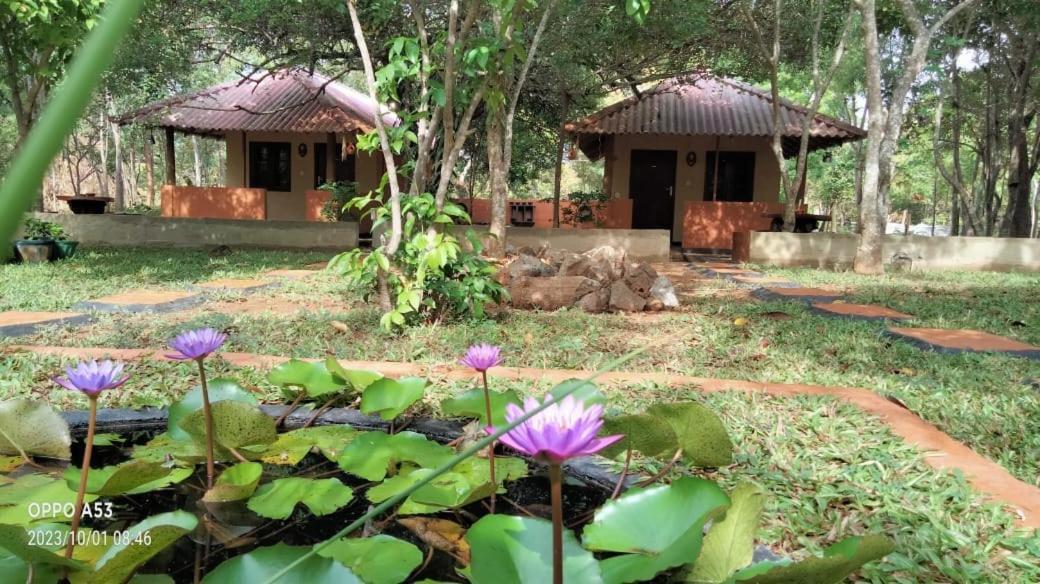 Hotel Niyagala Lodge Sigiriya Luaran gambar