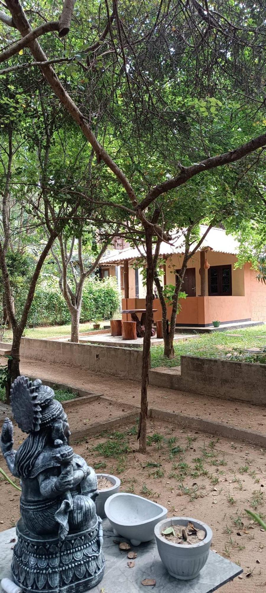 Hotel Niyagala Lodge Sigiriya Luaran gambar